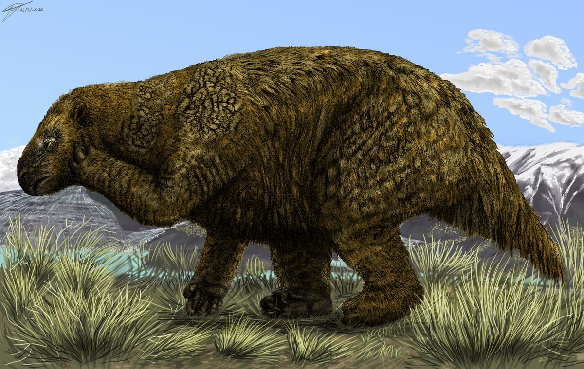 Hugo Valdez tweet media