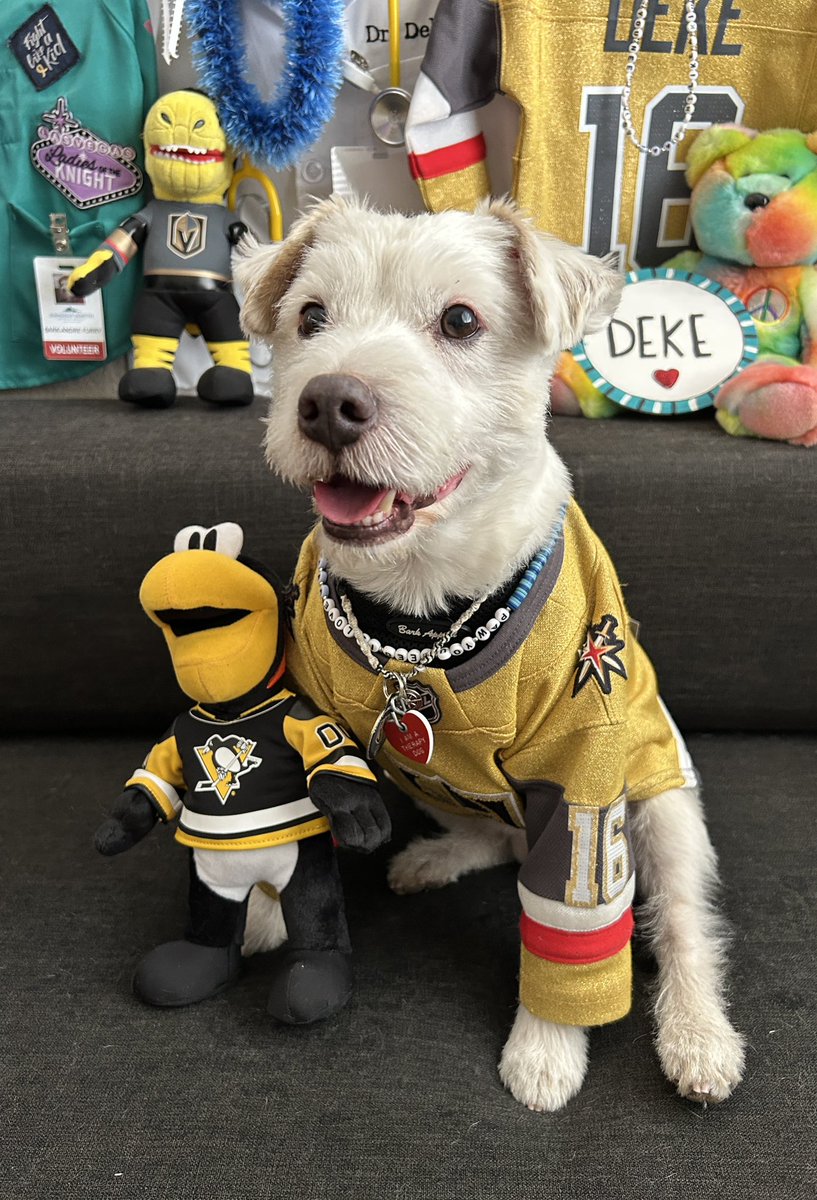 DekeHenriFurry's tweet photo. I’m ready for the hockey!
~ Deke🐾
#GoKnightsGo
#VegasBorn
#PITvsVGK
#GameFace https://t.co/m5rhUbJd3B