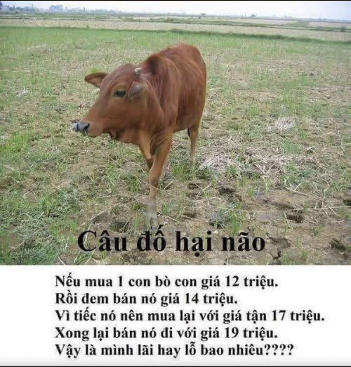 Minh Tuấn tweet media
