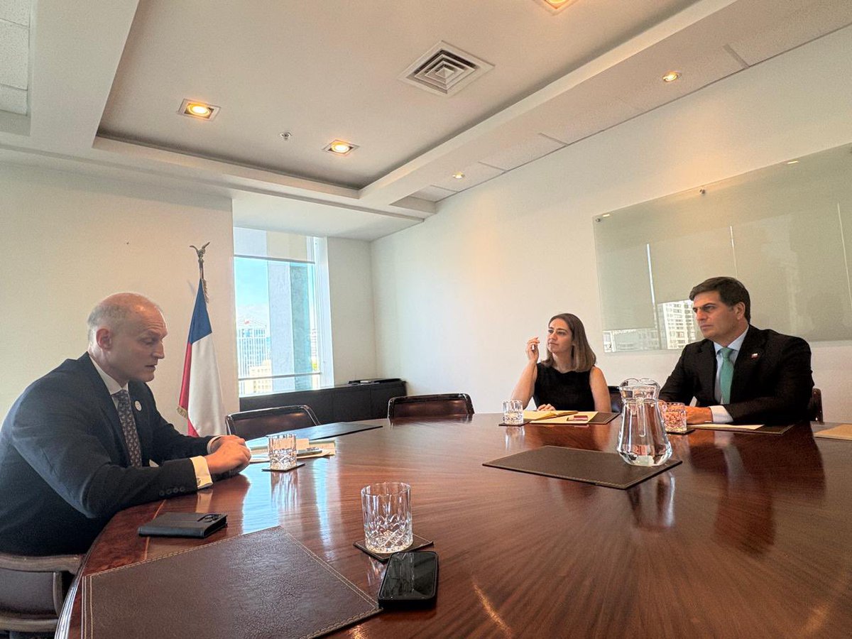 PLenChile tweet media