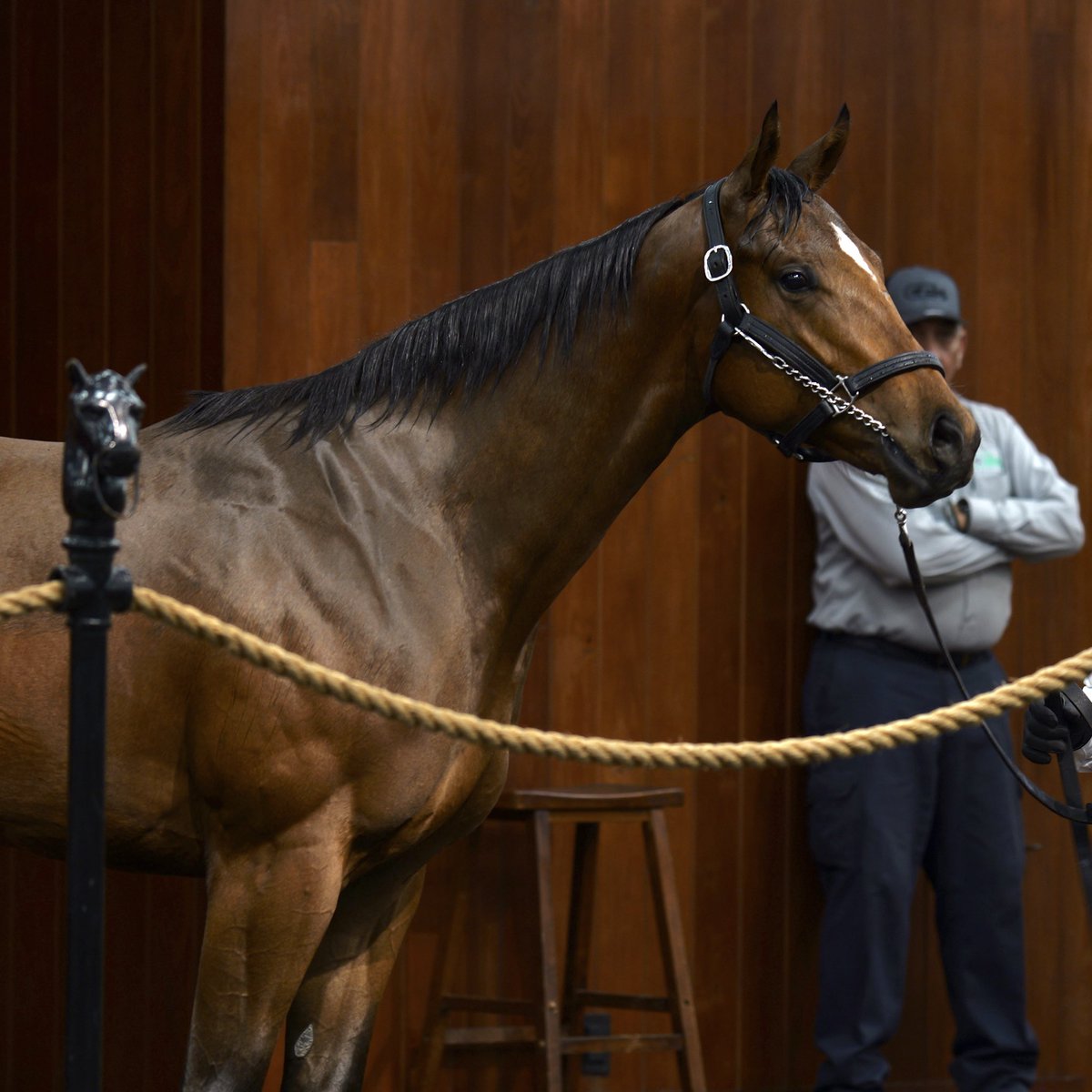 Arroyo Bloodstock tweet media