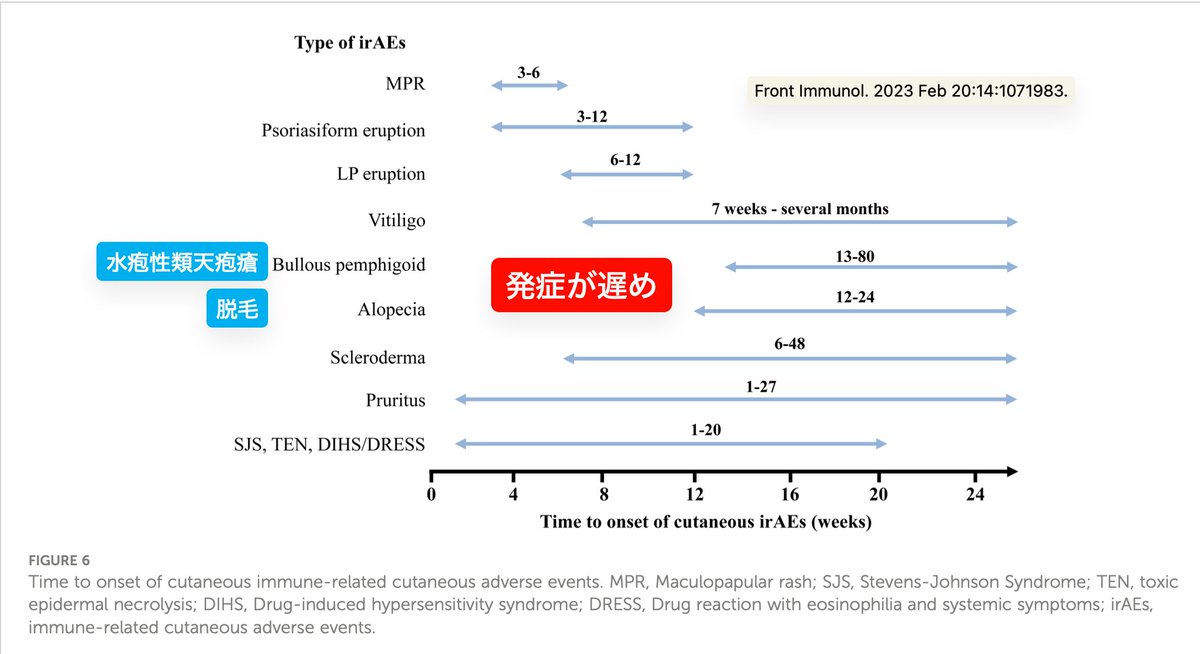 SoS@皮膚科専門医試験対策編 tweet media