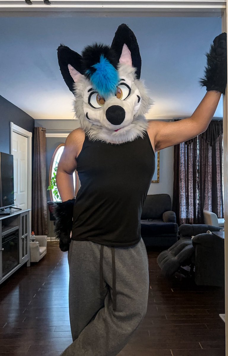 CastorDaFolf's tweet photo. 6 foot without the suit 😌 dunno how much with the suit but you can judge that by door frame 🤣 #furry #fursuit #furryfandom https://t.co/3x3qtcX8Zs