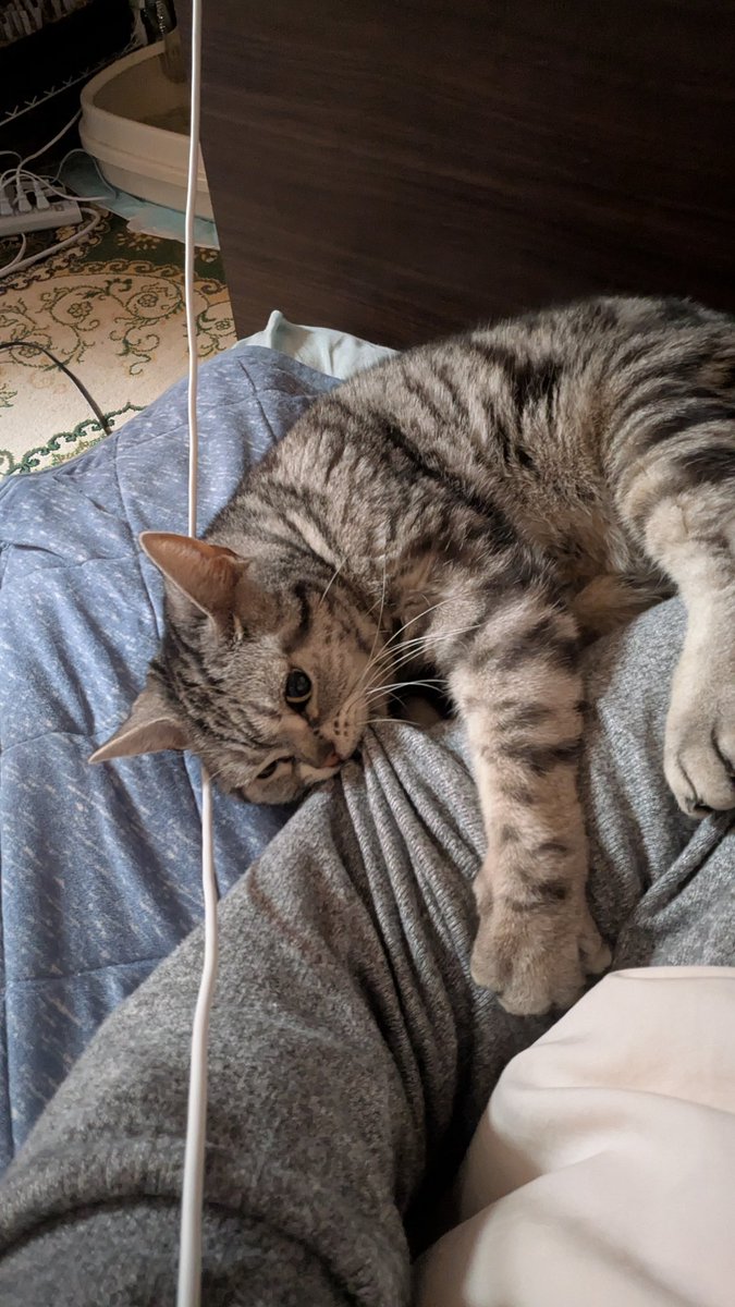 lovesemps tweet media