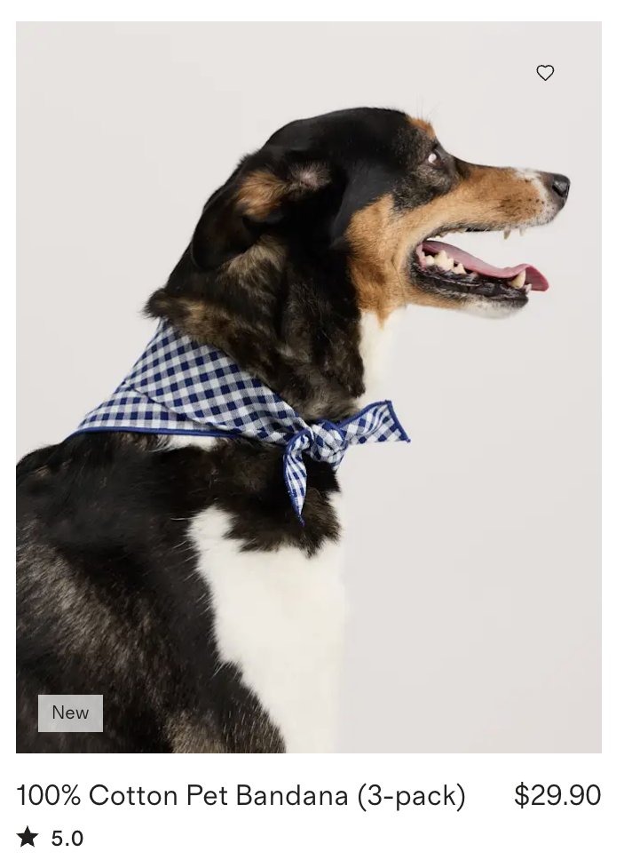 Sam Gerstenzang tweet media