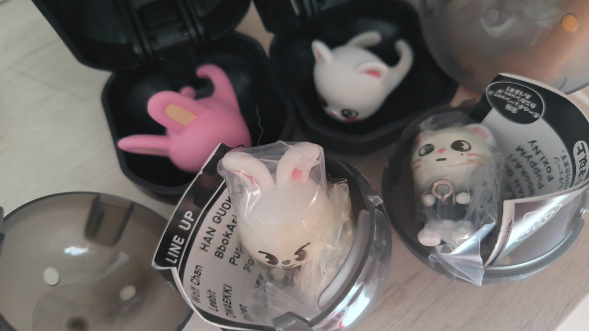 maimai🐥 tweet media