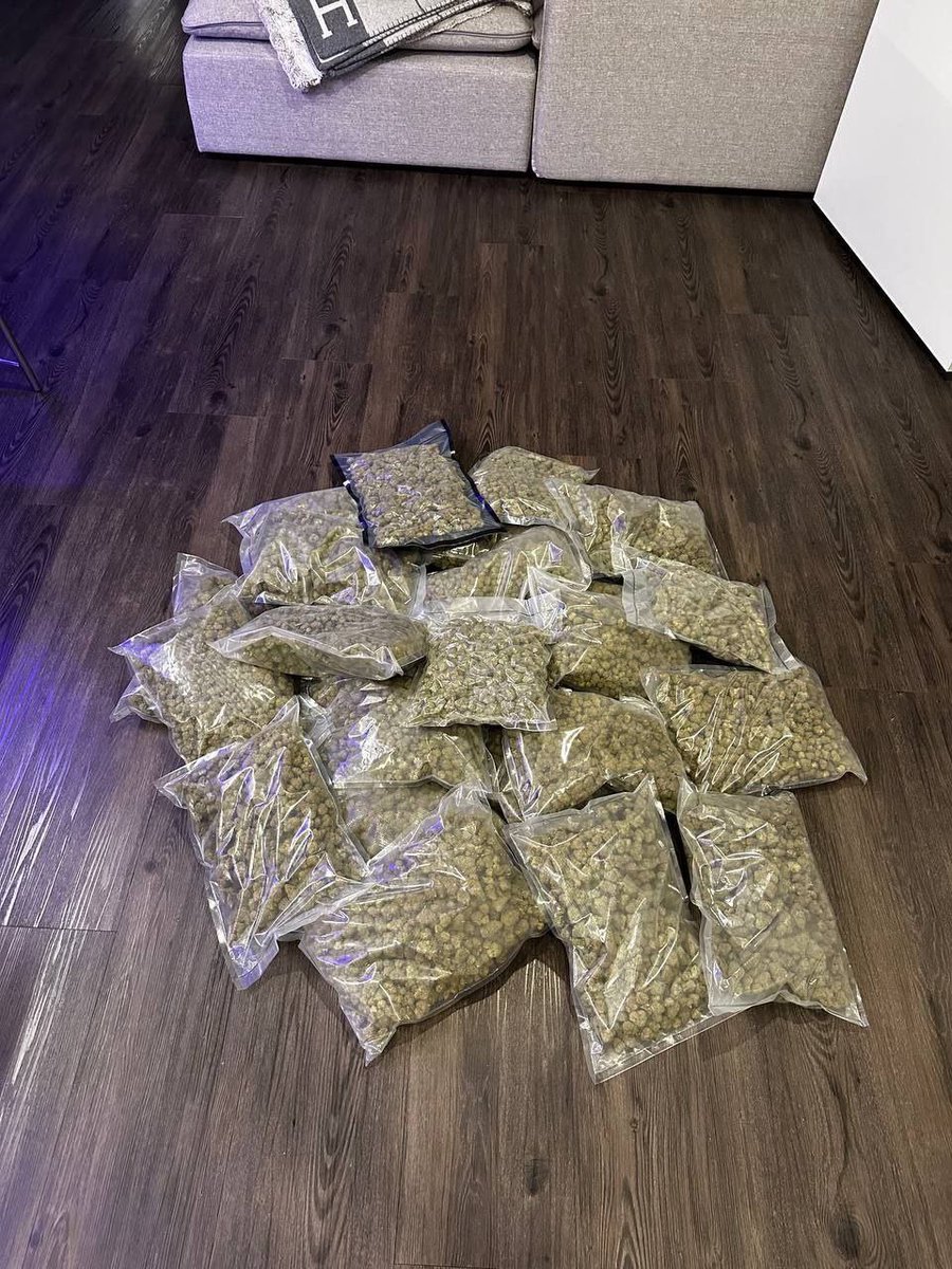 sincity seeds tweet media