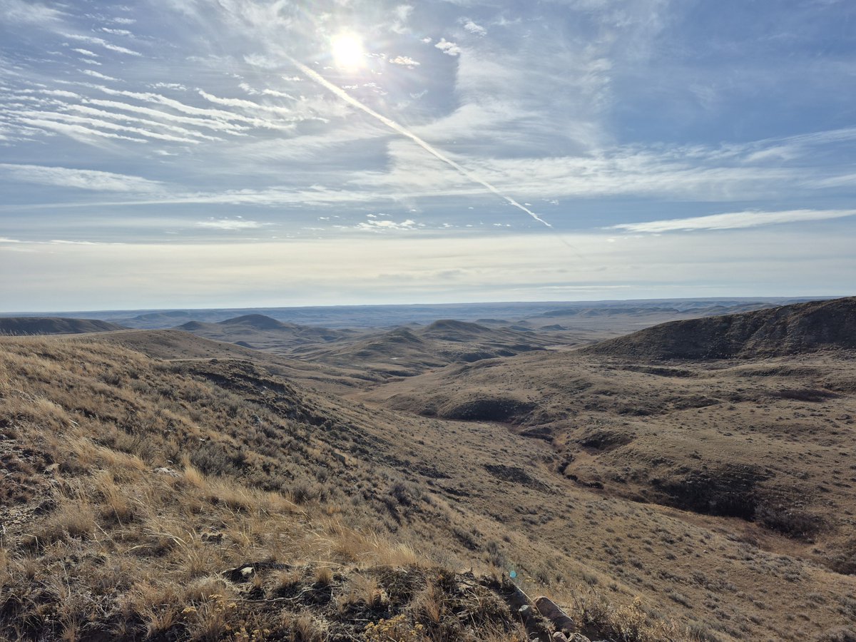 Sask PCAP tweet media