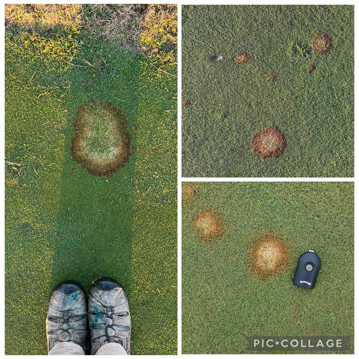 Paul B. Hurst tweet media