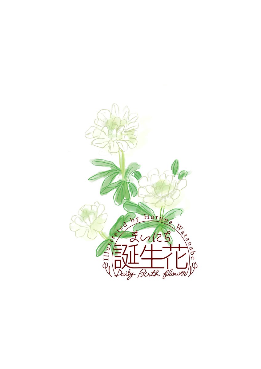 「3月13日 イベリス 花言葉 心をひきつける #1日1絵 #まいにち誕生花」|渡邊 春菜のイラスト
