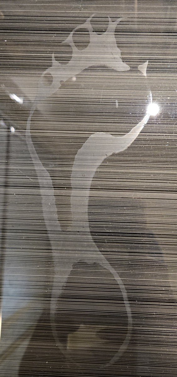 Southern Soles tweet media