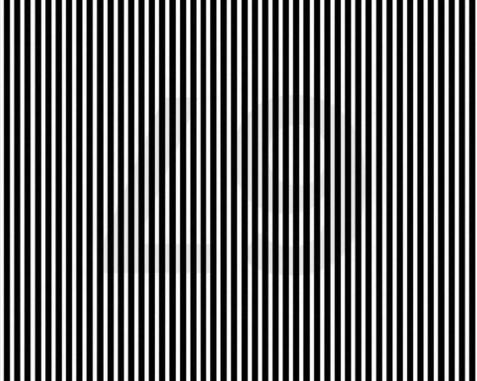 yani 🇺🇸 tweet media