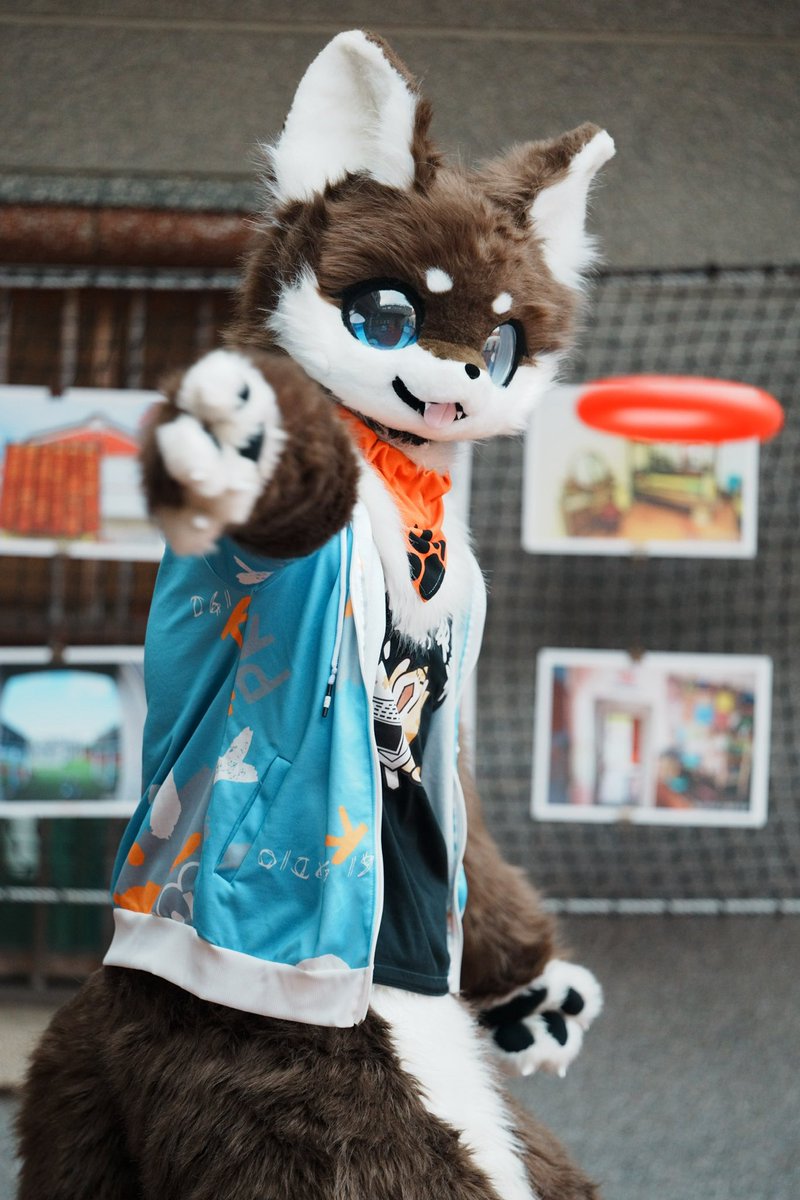 LittleWolf0221 tweet picture