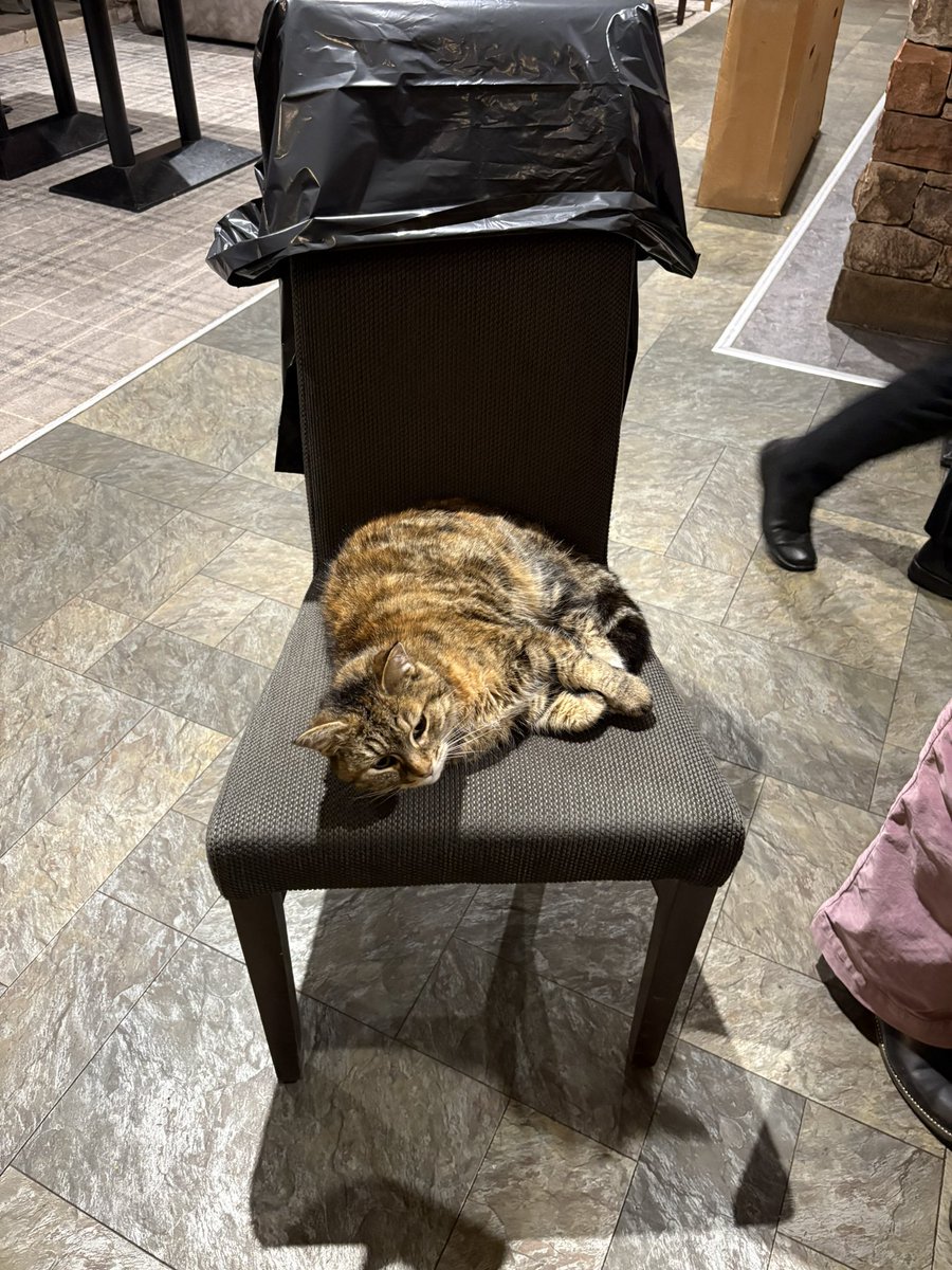 Westmorland and Furness Council tweet media