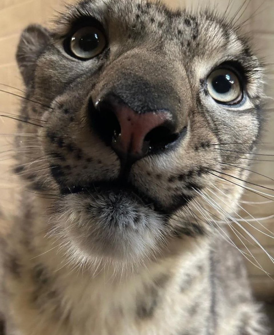 what the what.......