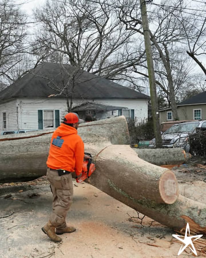 silverstartree's tweet image. After the Storm, We’re Here to Help! 🌳

Fallen trees or branches after a storm? Our team is available 24/7 for emergency storm cleanup. We’ll remove debris quickly to restore safety and peace to your property.

silverstartree.com

#StormCleanup #EmergencyTreeService
