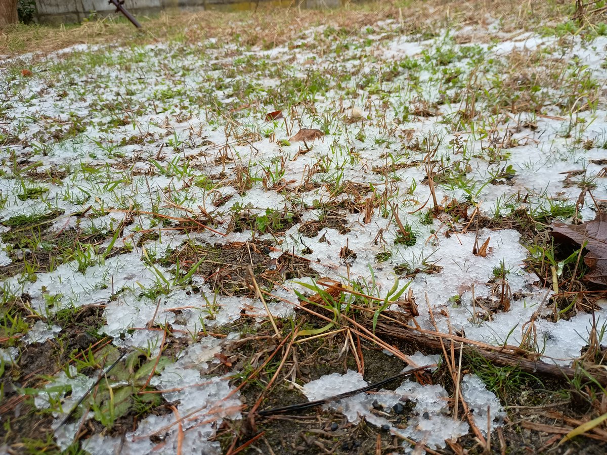 【公式】味噌・醤油の蔵元山田屋 tweet media