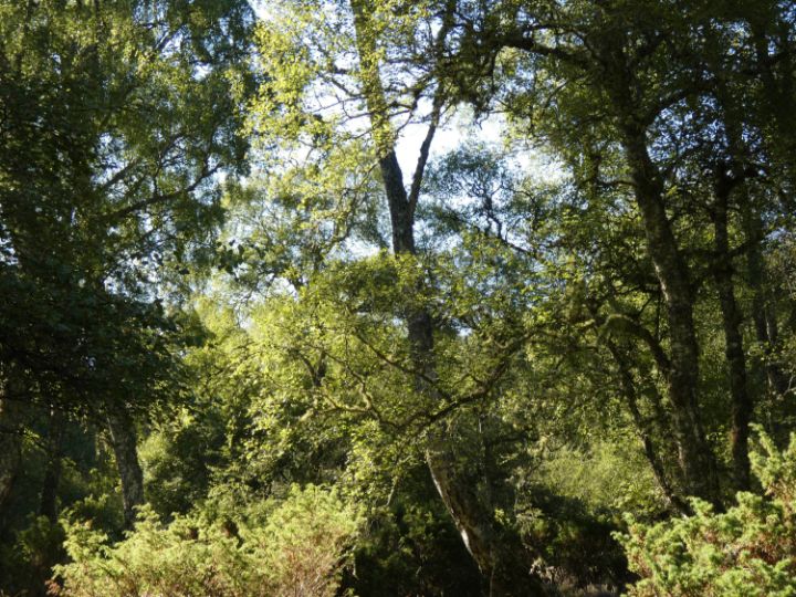 Catriona Roberts tweet media