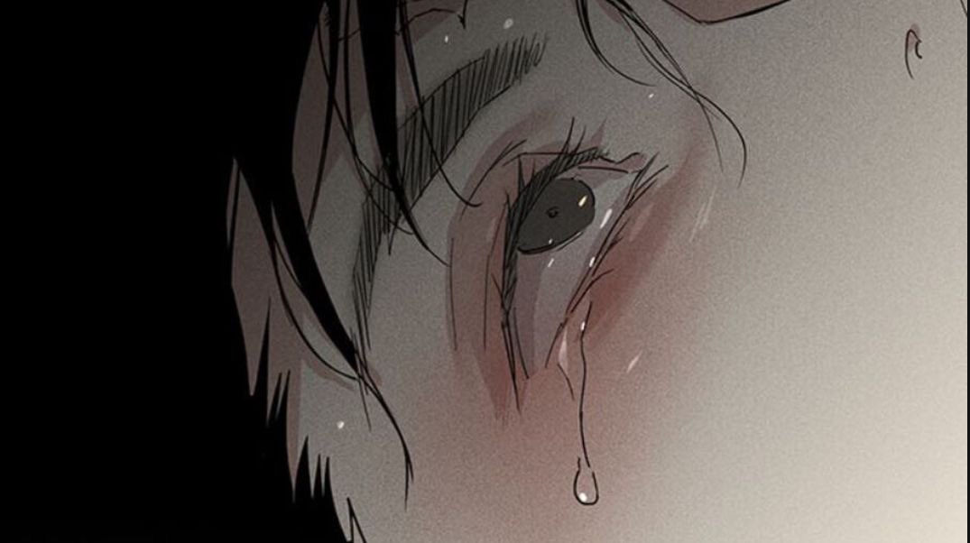 ⃟⃟⃟ tweet media