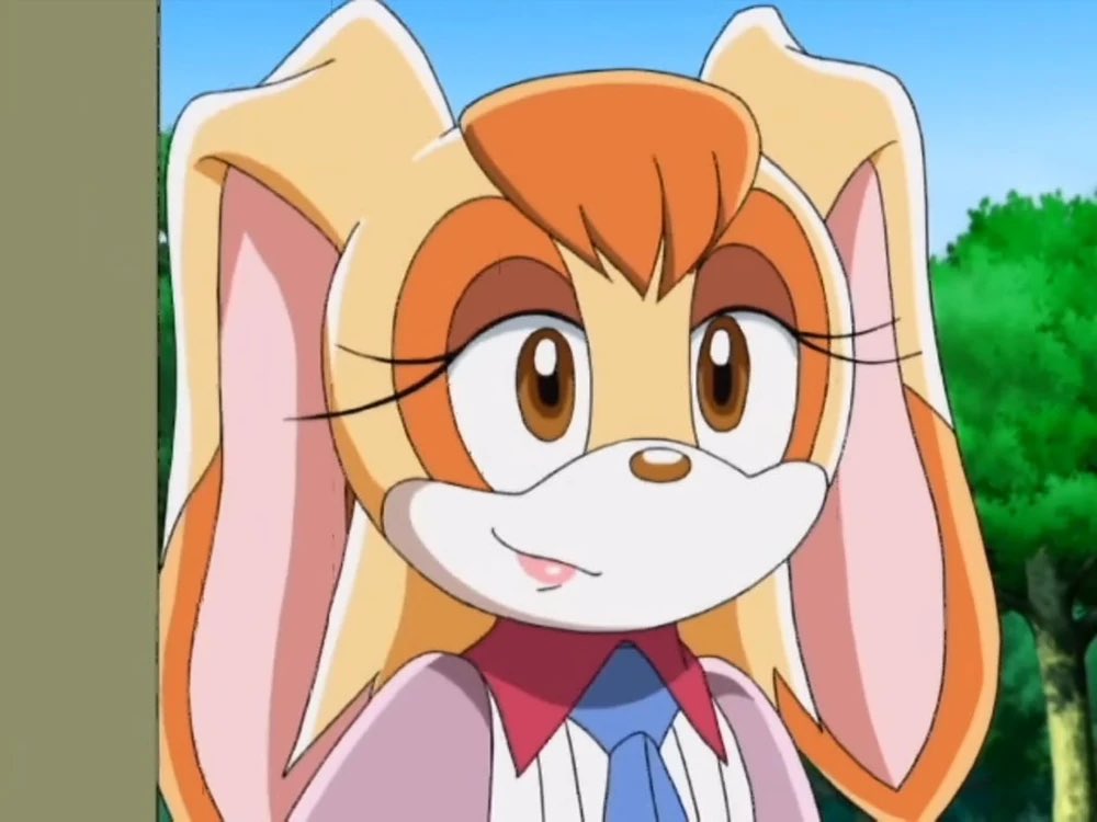 Vanilla the Rabbit tweet media