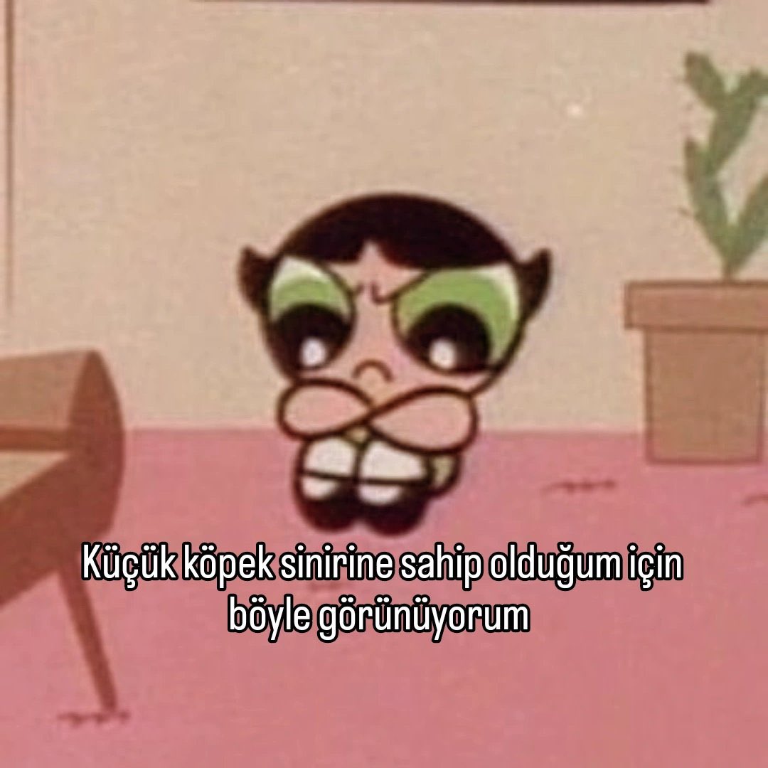 TGC (@tgcbzkrrt) on Twitter photo 