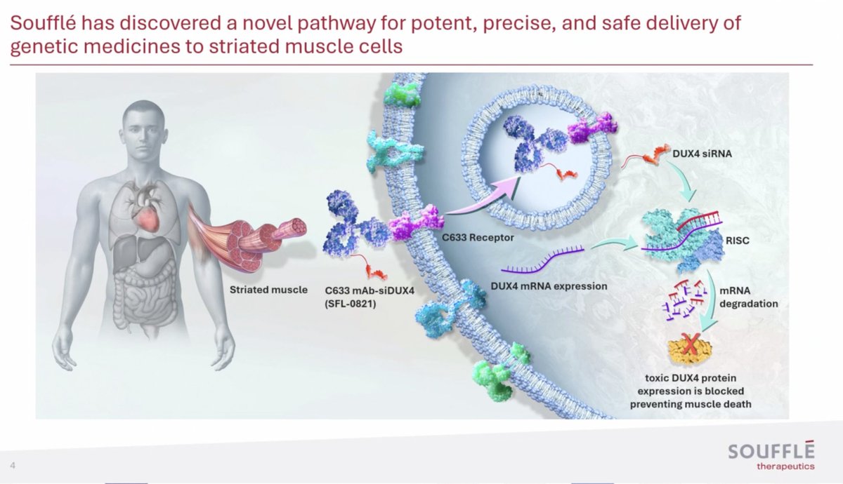 Professor Oak tweet media