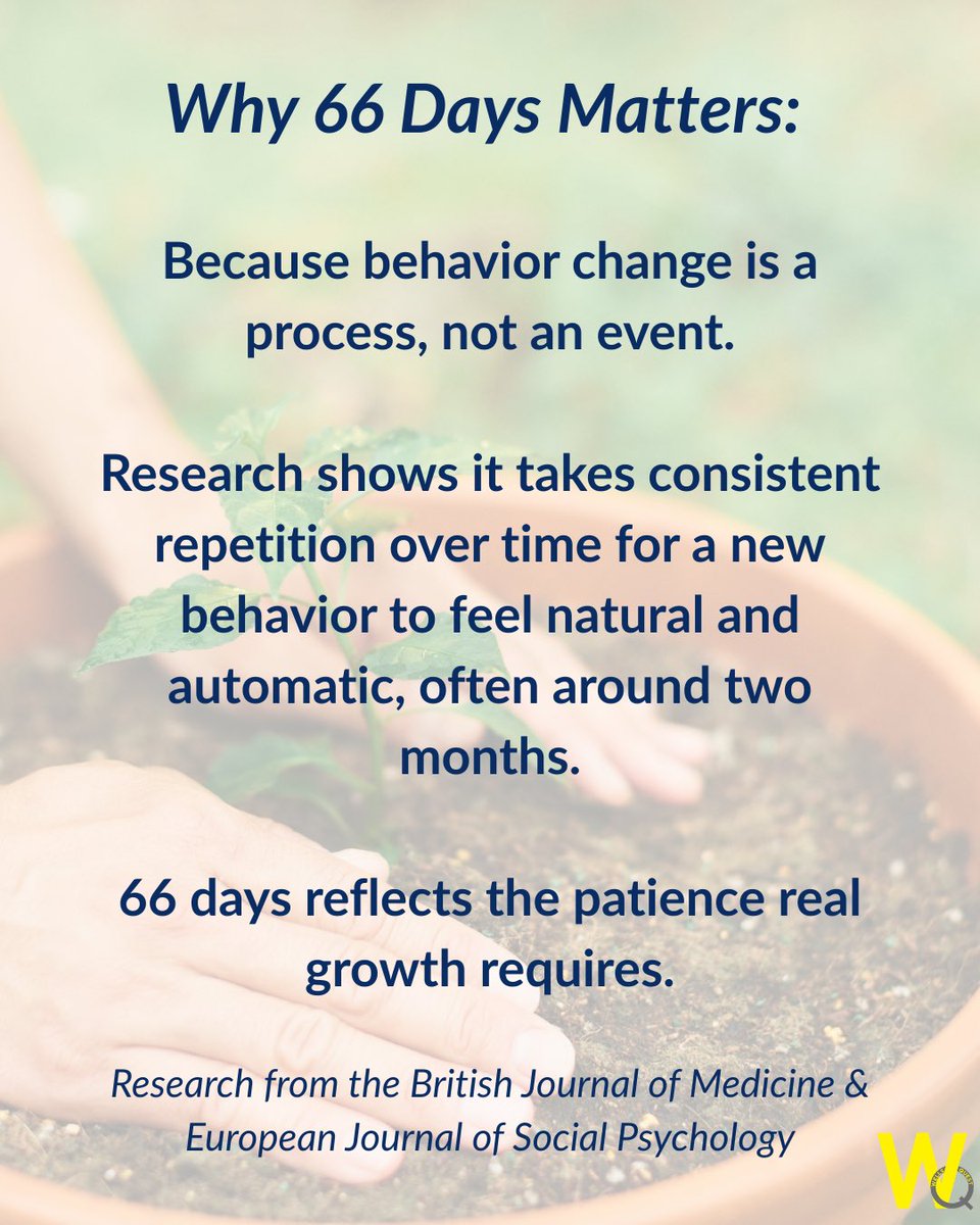 WellsQuest tweet media