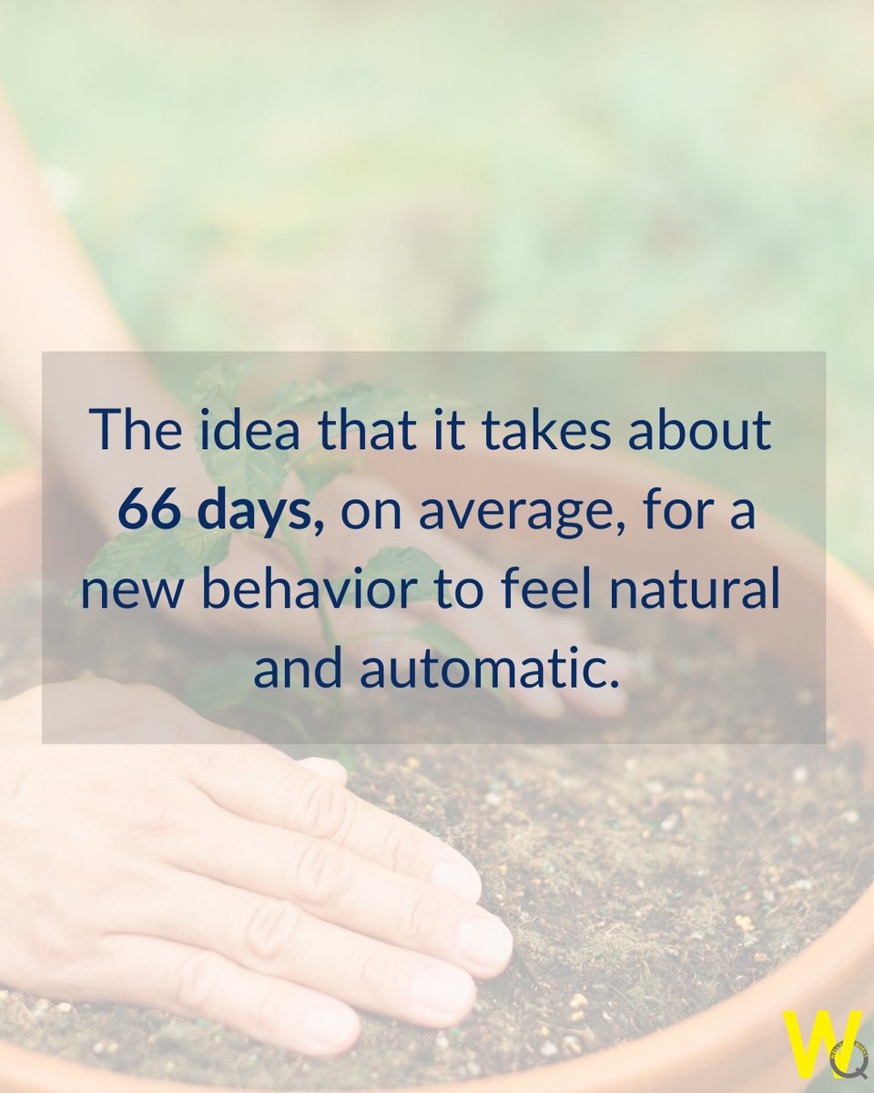 WellsQuest tweet media