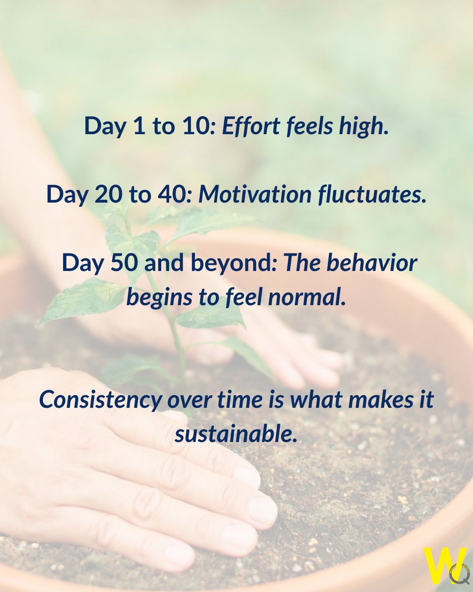 WellsQuest tweet media