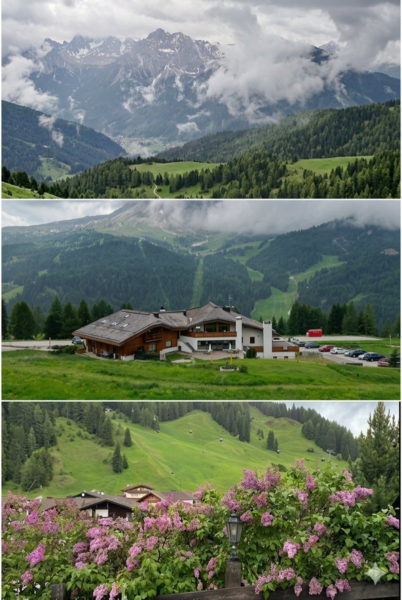 نصائح سياحية tweet media