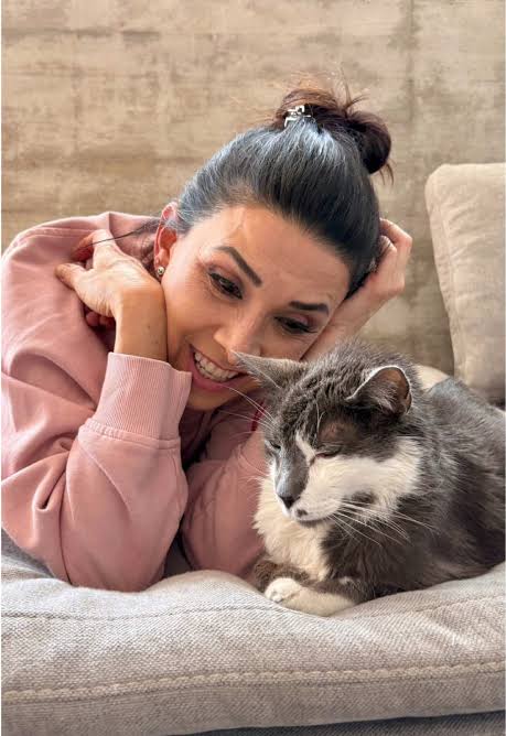 Emmanuel ZP tweet media