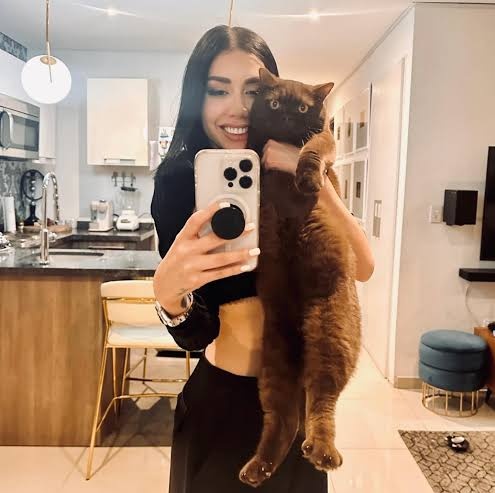 Emmanuel ZP tweet media