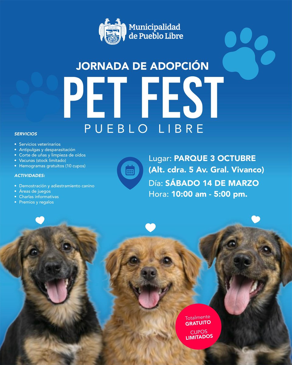 Pao Peralta 🐶 Rescatando Perritos 🇵🇪 tweet media