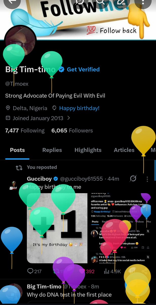 Big Tim-timo tweet media