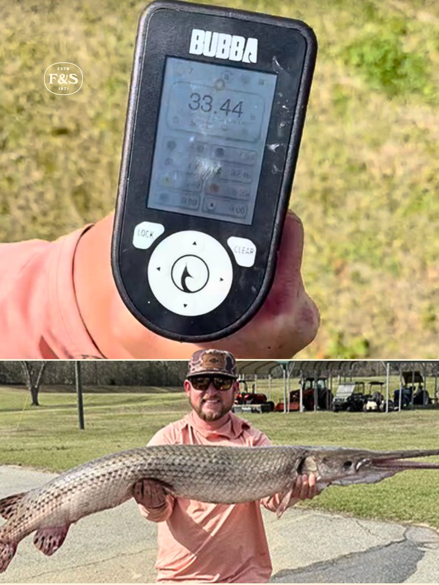 Field & Stream tweet media