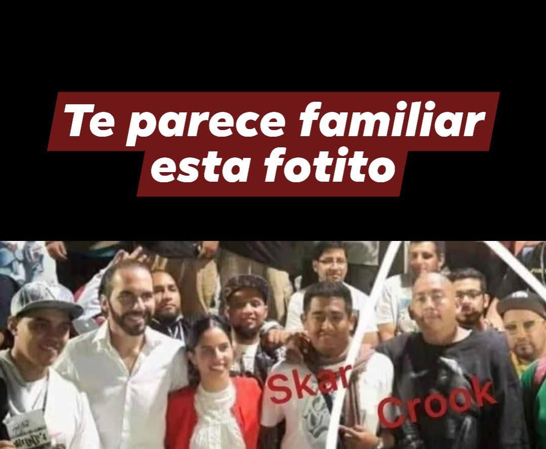 Al tweet media