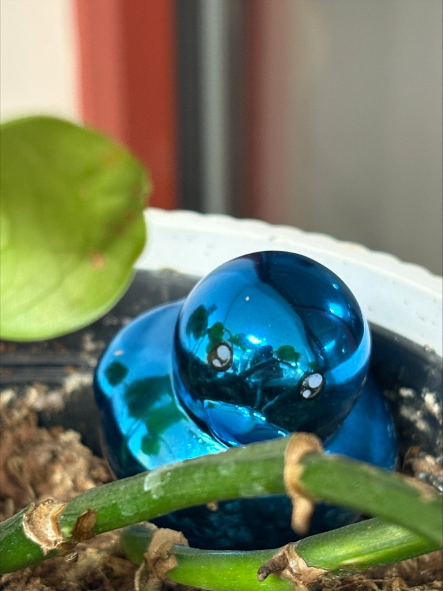 Wallkill Living Center tweet media