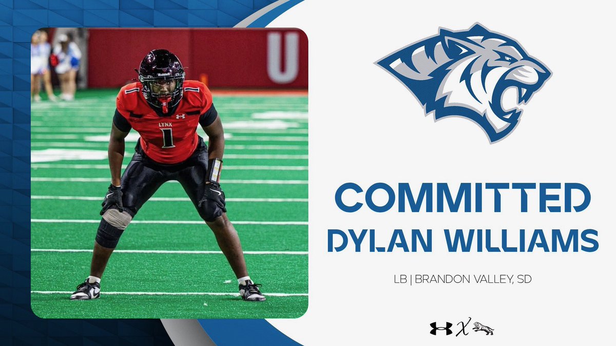 Dylan Williams tweet media