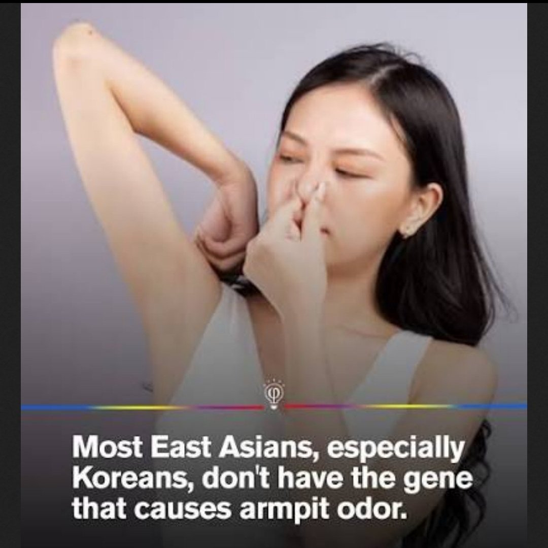 Your Daily Pepe tweet media