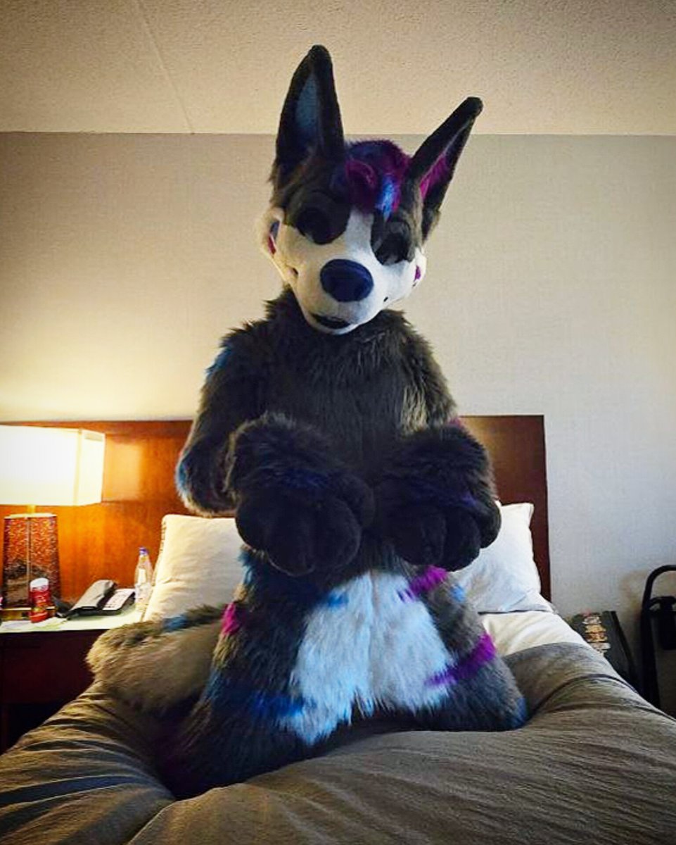 Nabi Wolfy 💙💜 tweet media