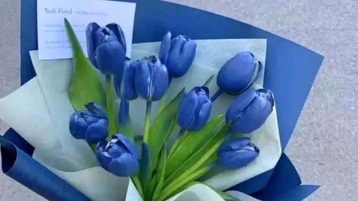 ͏ ͏ ͏ ͏ ͏ ͏ ͏ ͏ ͏ ͏ ͏ ͏ ͏ ͏ ͏ ͏ ͏͏ ͏ ͏ ͏ ͏
͏ ͏ ͏ ͏ ૈ☕️ ּ໋᳝݊  ᛈombo: Phils!

𔓘 𝐏epsi.
𔓘 𝐏elúcia de morcego.
𔓘 𝐅unko POP! Noiva Cadáver.
𔓘 𝐁uquê de tulipas.

Em dedicatória a: <a href="/noxbloods/">𝓟 𝒉𝒊𝒍𝒊𝒑𝒑𝒂 𝓚. ; 🧛🏻‍♀️</a> ♡
(sugestão de apresentação: )