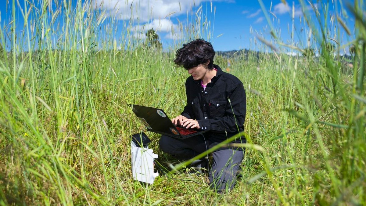 Berkeley Rausser College of Natural Resources tweet media