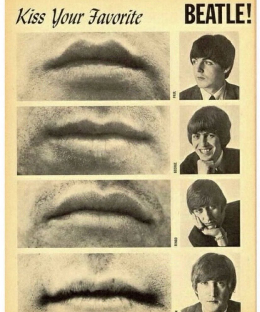 catalina tweet media