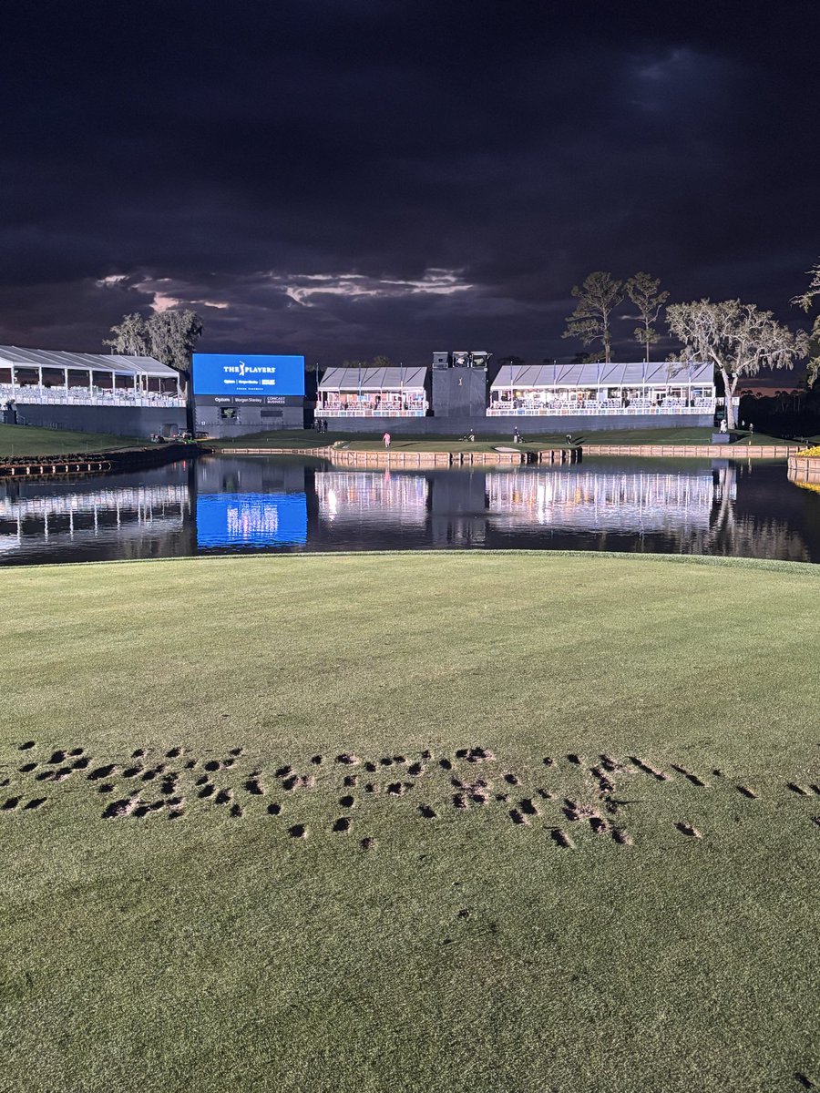 Smylie Kaufman tweet media