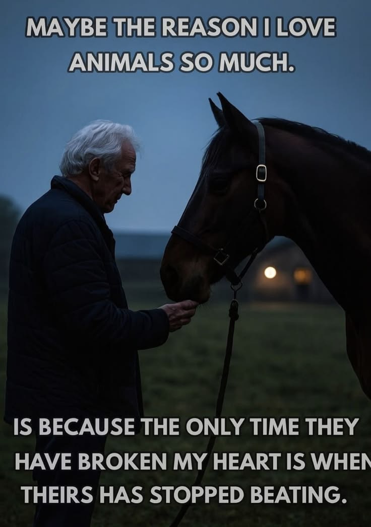 Marc McMahon tweet media