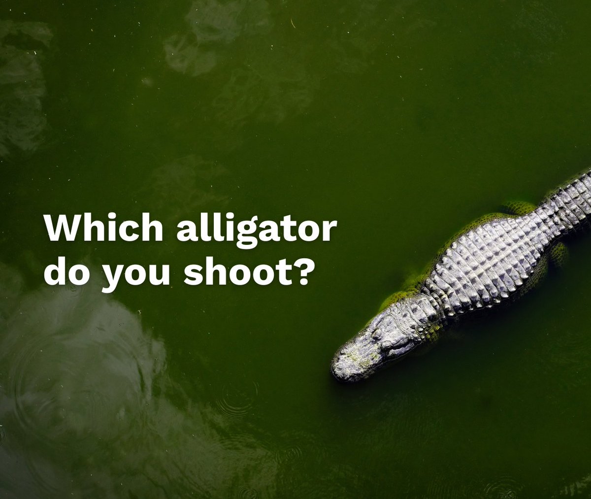 Ed Burns tweet media