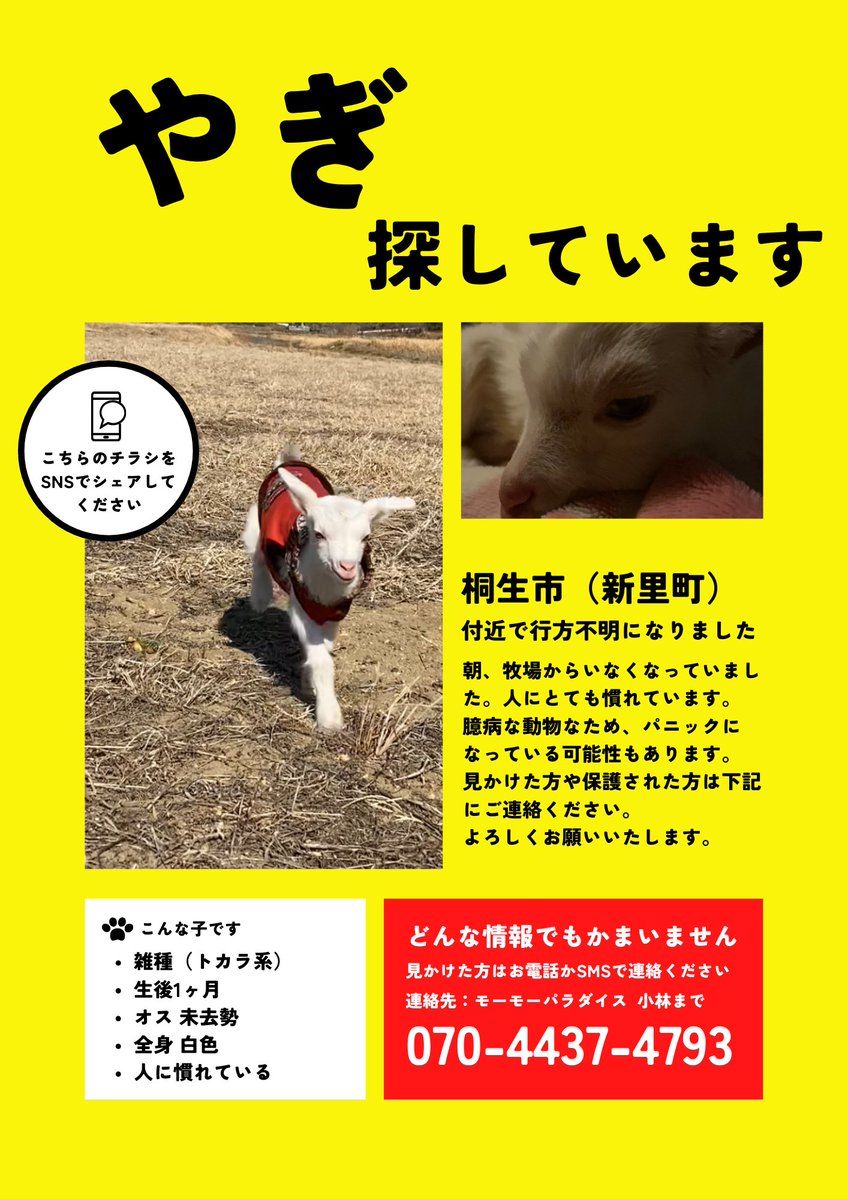 モーモーパラダイス牧場 tweet media