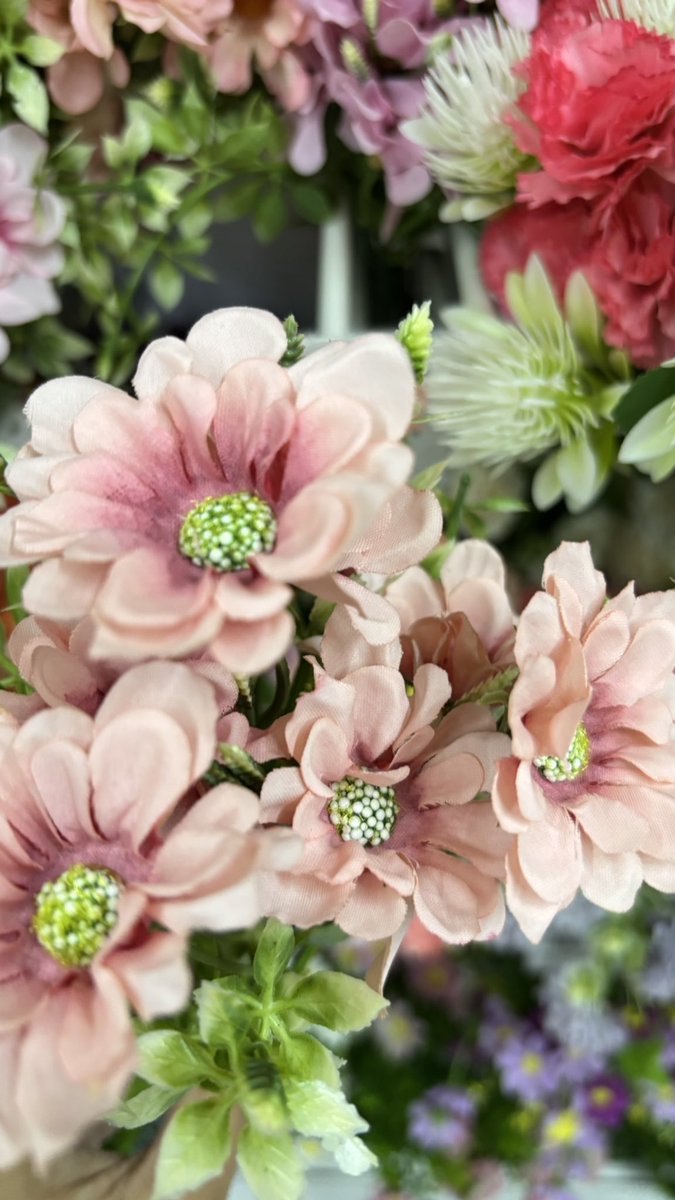 tasanotes tweet media