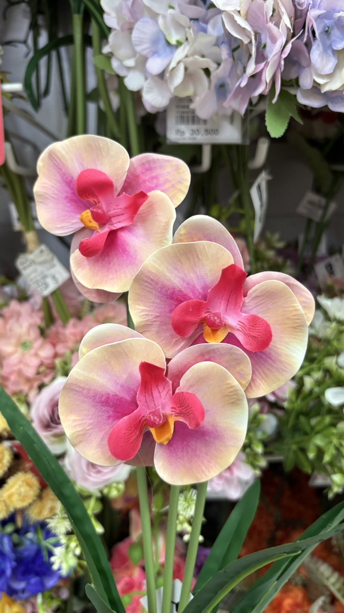 tasanotes tweet media