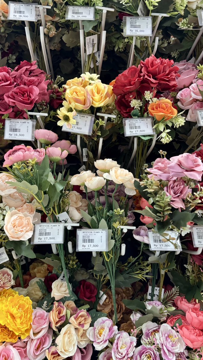 tasanotes tweet media